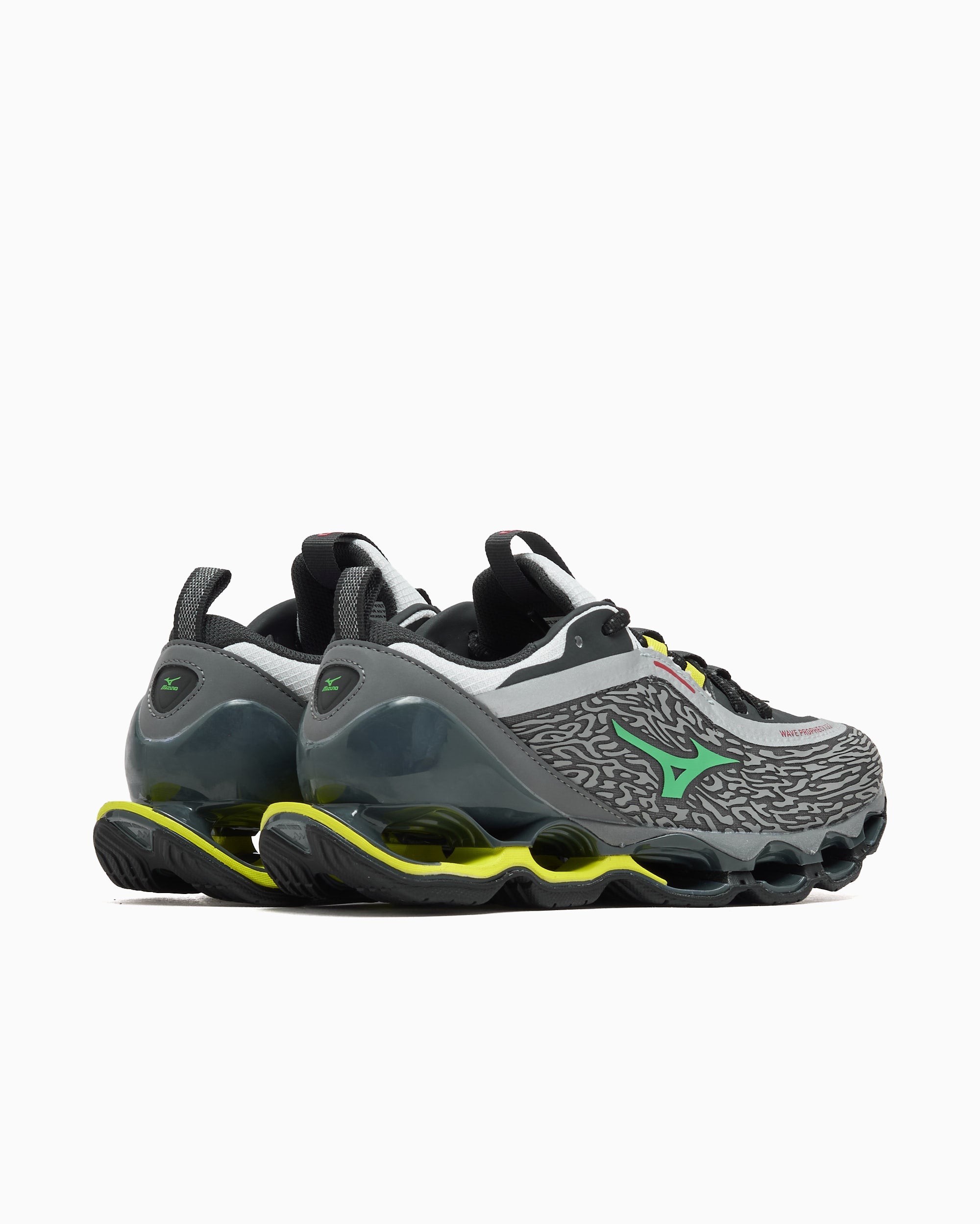 Mizuno Wave Prophecy 13.2