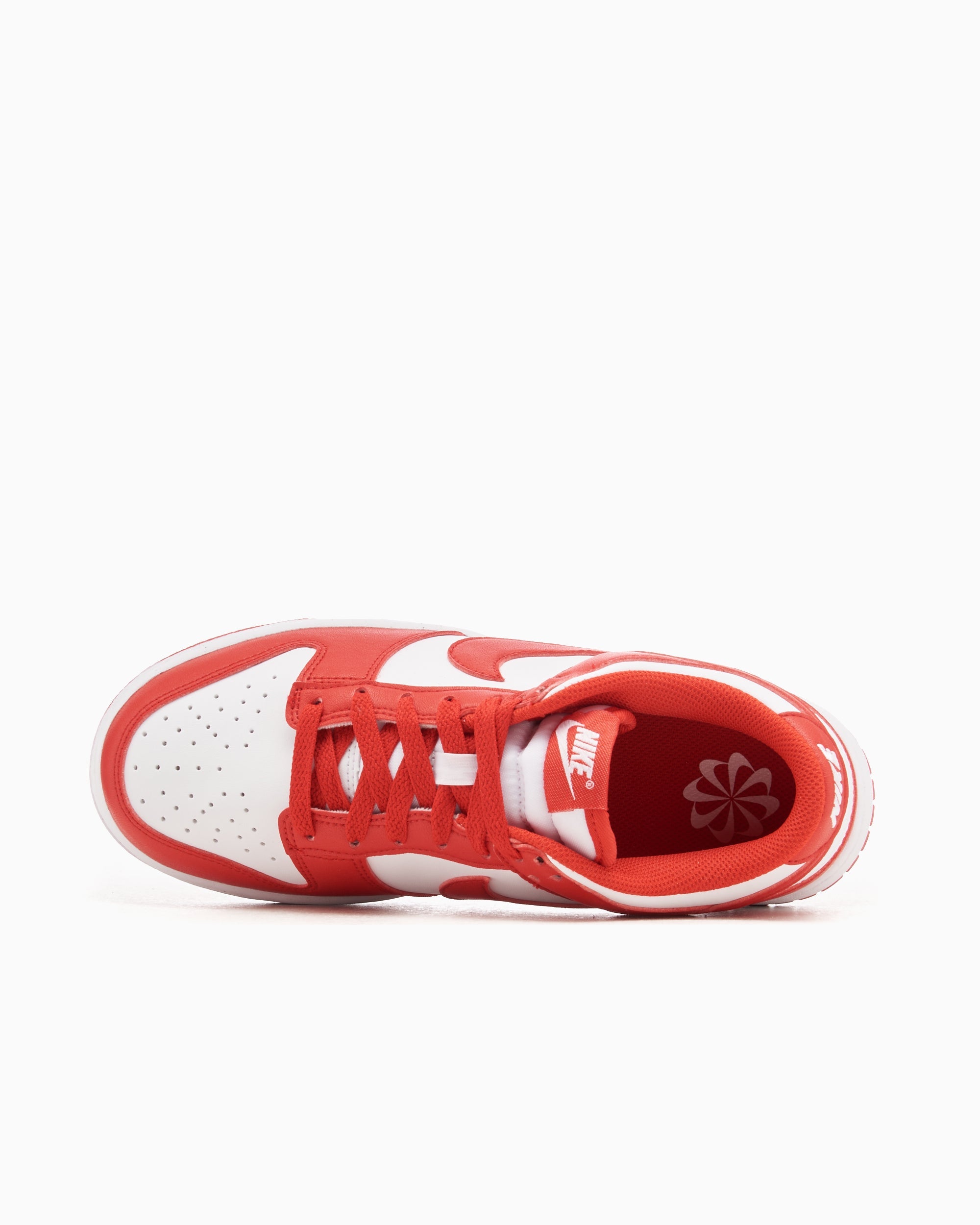 Nike Women's Dunk Low Next Nature